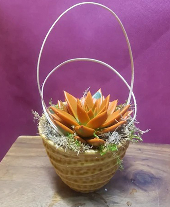 Cesta de plantas en Madrid